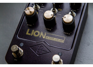 LION-3