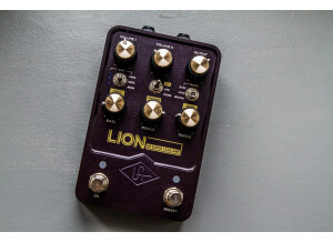 LION-13