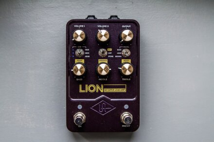 LION LION