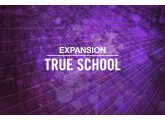 Vends Expansion TRUE SCHOOL de Native Instruments Maschine