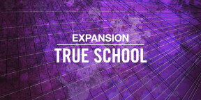 Vends Expansion TRUE SCHOOL de Native Instruments