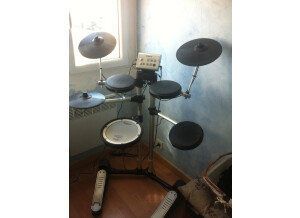Roland HD-1 (87655)