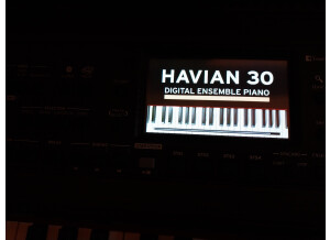 Korg HAVIAN-30