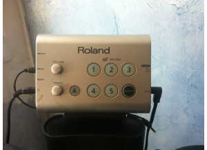 Roland HD-1 (4037)