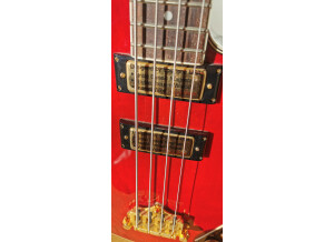 Epiphone Allen Woody Rumblekat Bass