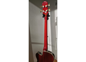 Epiphone Allen Woody Rumblekat Bass