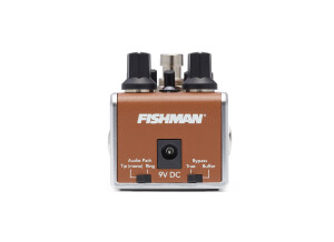 Fishman AFX Pro EQ Mini