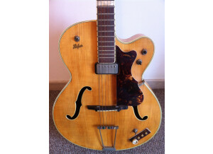 Hofner Guitars 457 (19492)