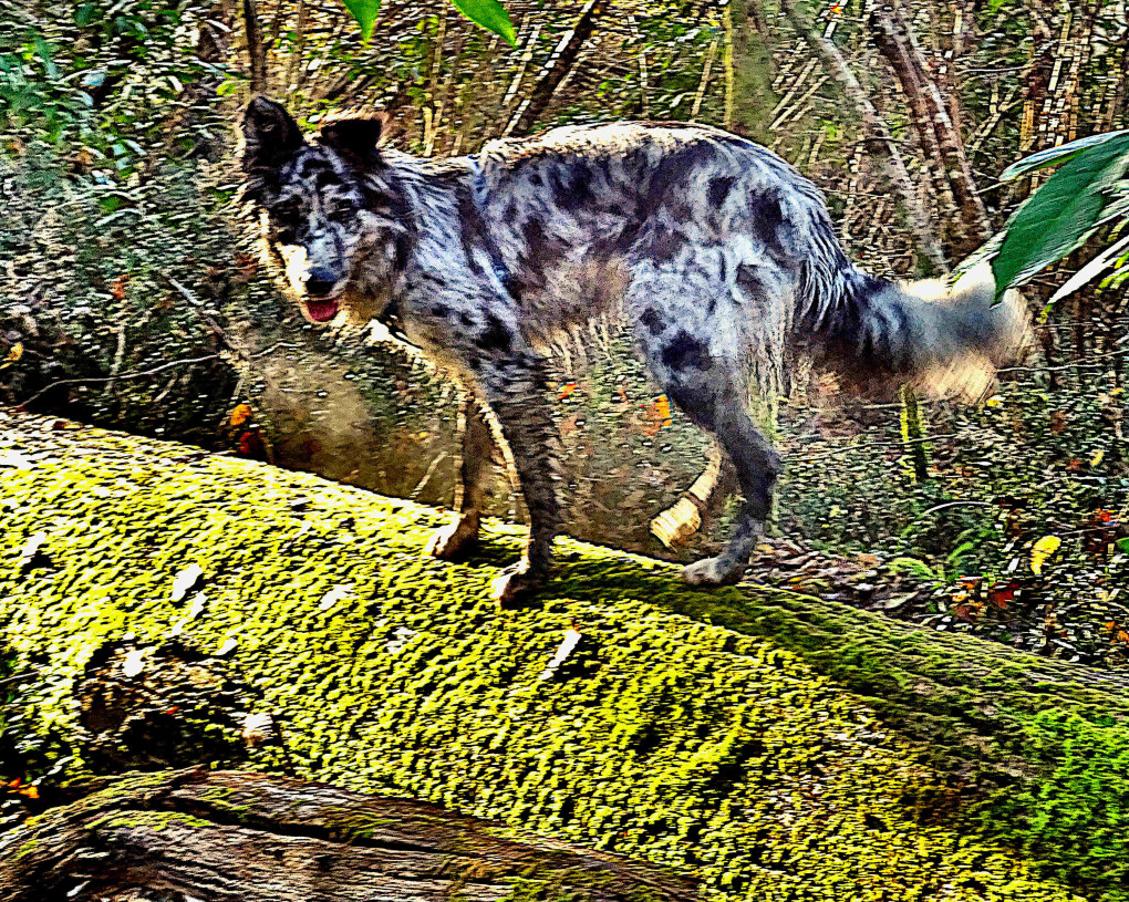 5925200.jpg 5925200.jpg