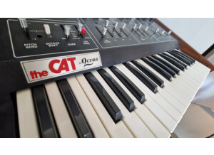 Octave The Cat (99235)