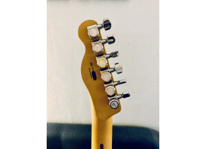 Fender Player Plus Telecaster (41966)