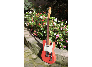 Fender Player Plus Telecaster (18483)