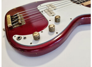 Fender Special Edition Precision Bass (1980) (18508)