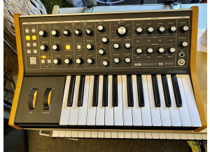 Moog Music Subsequent 25 (48496)