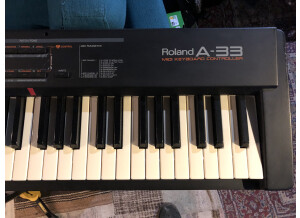 Roland A-33