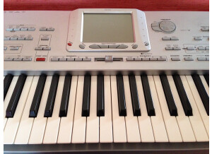 Korg Pa1XPro (65089)