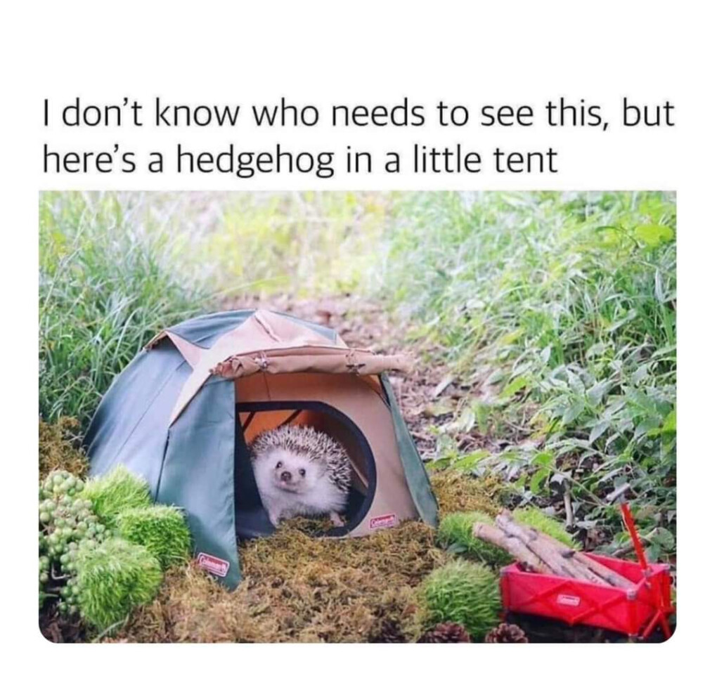 5927991.jpg 5927991.jpg