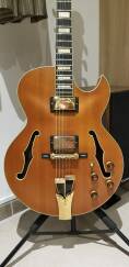 Ibanez AKJ95