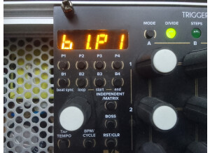 Tiptop Audio Trigger Riot (6567)