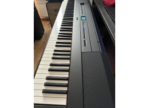 Yamaha P-515 (96592)