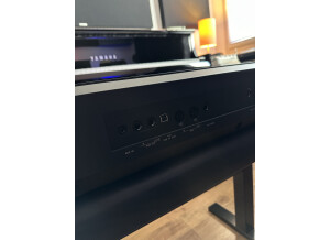 Yamaha P-515 (72665)