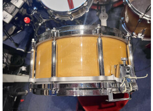 Pearl free floating 14x6.5 érable (49908)