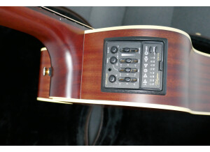 Takamine TAN10C (84251)