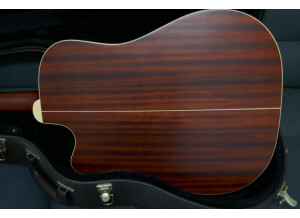 Takamine TAN10C (39874)