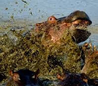 5929434.jpg 5929434.jpg