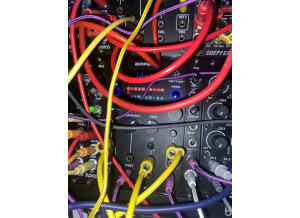 Behringer Brains (49206)