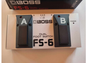 Boss FS-6 Dual Footswitch (98299)