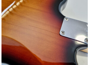 Fender Bass VI (Made in Japan) (99347)