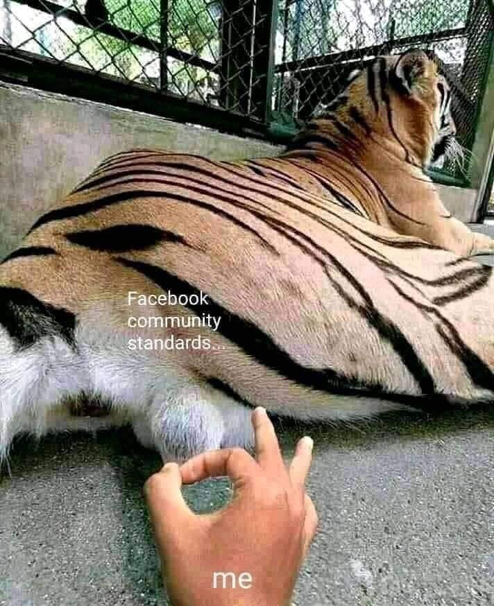 5930157.jpg 5930157.jpg