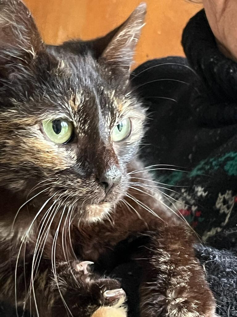 5930292.jpg 5930292.jpg