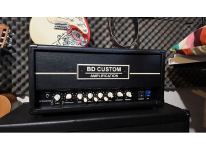 BD Custom Amplification BF/CUSTOM+ (84919)