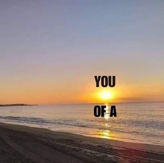 5930566.jpg 5930566.jpg