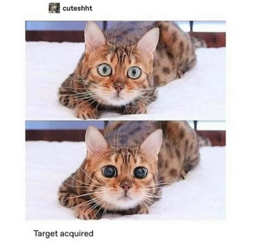 5930814.jpg 5930814.jpg