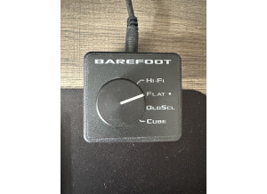 Barefoot Sound Footprint02