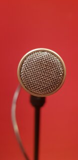 Sm81 Capsule Sm81 Capsule