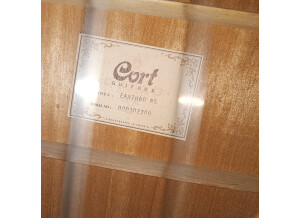 Cort Earth Pack