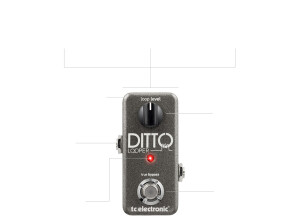 TC Electronic Ditto Looper (61855)