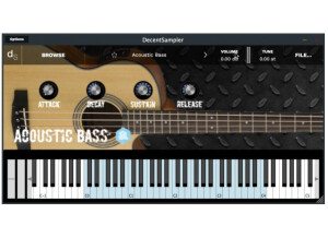 Acoustic Bass GUI