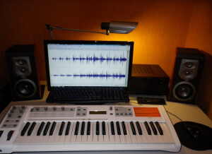 M-Audio Venom (77349)