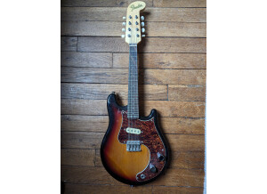 Fender Mando-Strat 8