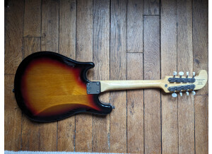Fender Mando-Strat 8