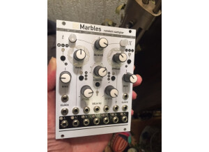 Mutable Instruments Marbles (82023)