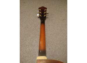 Ibanez AF95 Artcore Expressionist (20493)