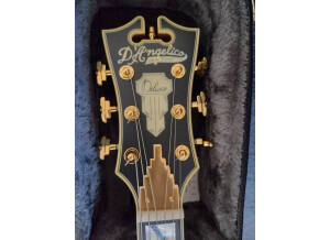 D'angelico Deluxe DC LE