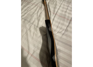 Michael Kelly Guitars CC53 8 string (40270)