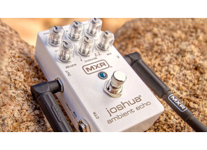 Joshua Ambient Echo Lifestyle